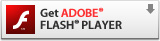 Flash�v���O�C�����ǂ����I