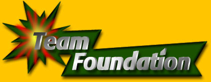 teamFD Logo