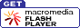 Flash�v���O�C�����ǂ����I